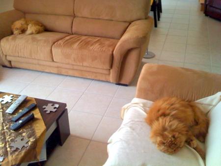 2 chats ????